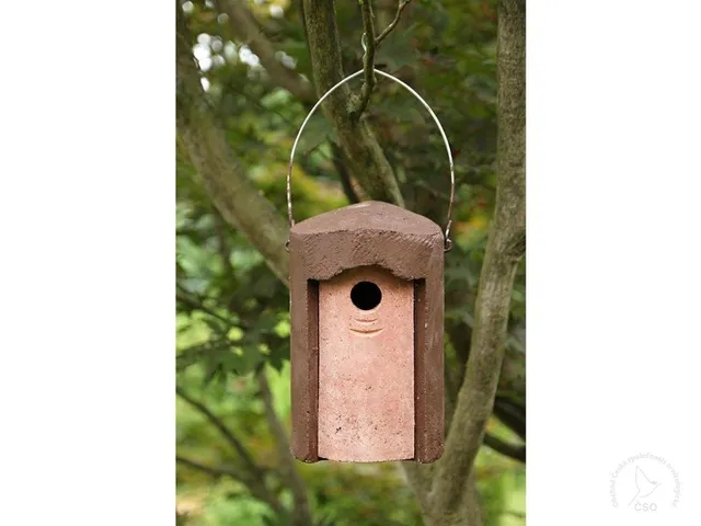 Nichoir Schwegler 1B, trou d’envol 32 mm, marron